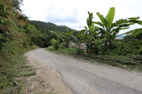 Земельный участок в Кату, Таиланд 6400м2  № 157926 - фото 5