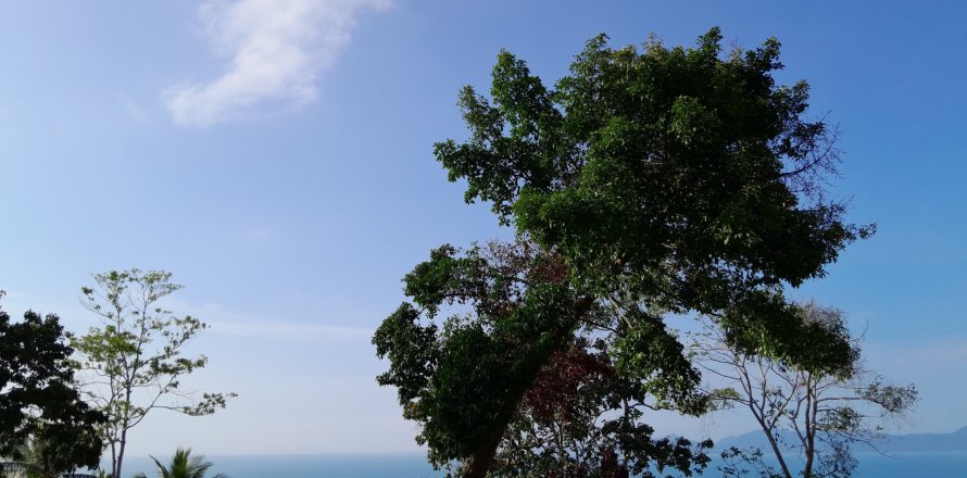 Земельный участок в Самуи, Таиланд 1600м2  № 136617