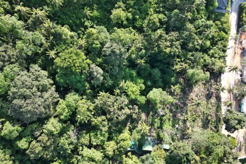 Земельный участок в Самуи, Таиланд 1600м2  № 136617 - фото 6