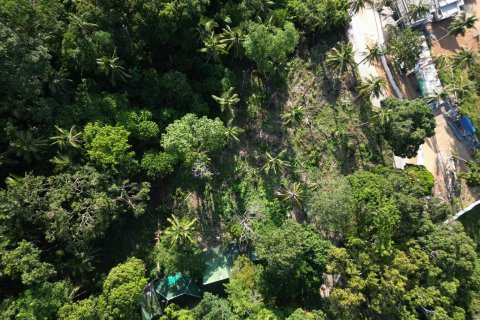 Земельный участок в Самуи, Таиланд 1600м2  № 136617 - фото 7