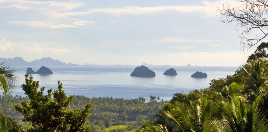 Земельный участок в Самуи, Таиланд 1644м2 № 154155