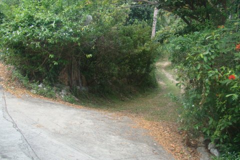 Земельный участок в Самуи, Таиланд 1644м2 № 154155 - фото 3