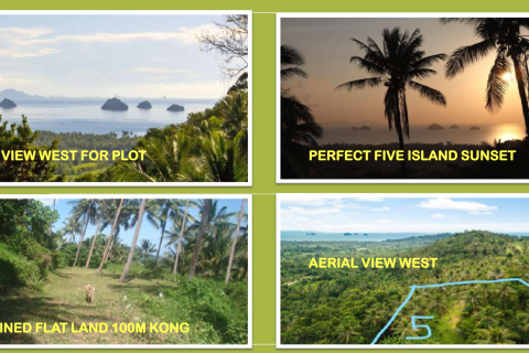 Земельный участок в Самуи, Таиланд 1644м2 № 154155 - фото 6