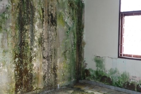 Таунхаус в Чантхабури, Таиланд с 5 спальнями № 154152 - фото 9