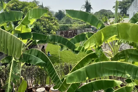 Duplex à Bang Kruai, Thaïlande 3 chambres № 169653 - photo 8