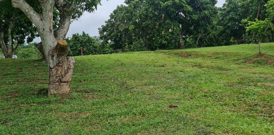 Земельный участок в Чианграе, Таиланд 1600м2  № 152909