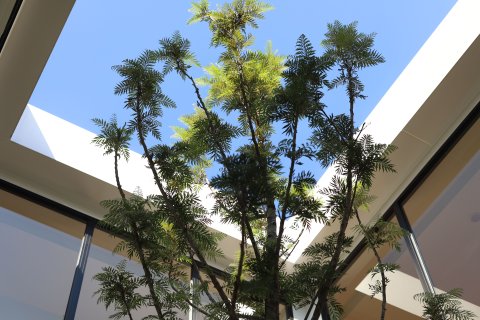 Дом в Правете, Бангкок, Таиланд с 4 спальнями  № 156152 - фото 6