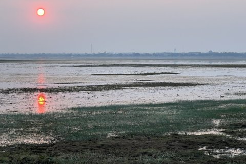 Terrain à Surin, Thaïlande 23224 m2 № 173644 - photo 2