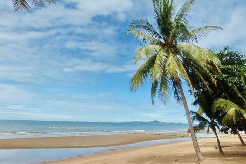 Studio in the Condo auf Jomtien Beach, Pattaya, Thailand № 222838 - Foto 8