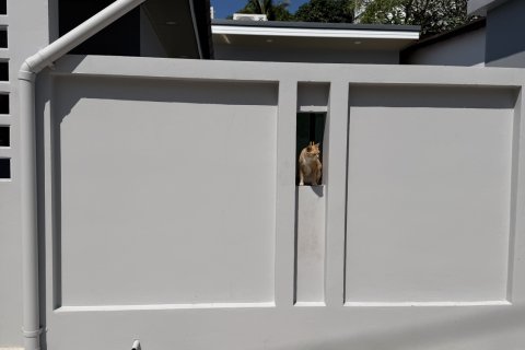 Дом в Пхукете, Таиланд с 3 спальнями  № 167563 - фото 2