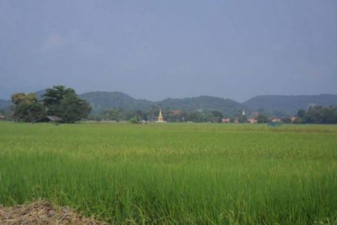 Земельный участок в Мае Танге, Таиланд  № 146709 - фото 9