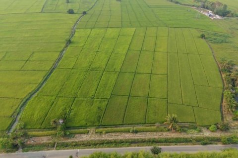 Земельный участок в Мае Танге, Таиланд  № 146709 - фото 1