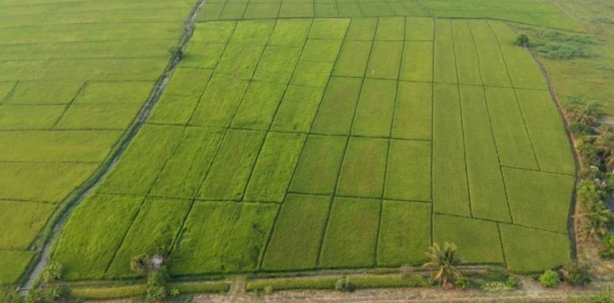 Земельный участок в Мае Танге, Таиланд  № 146709