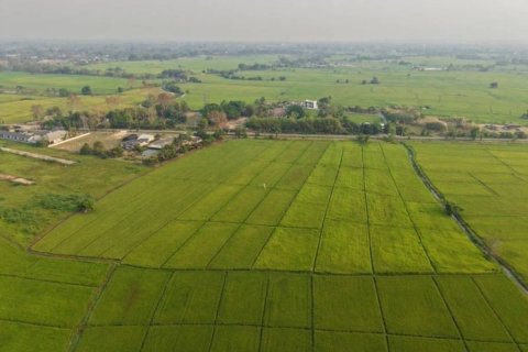 Земельный участок в Мае Танге, Таиланд  № 146709 - фото 5