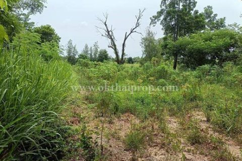 Land in Pattaya, Thailand 8192 sq.m. № 154840 - photo 3