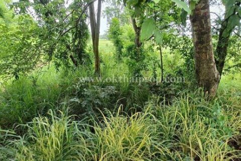 Land in Pattaya, Thailand 8192 sq.m. № 154840 - photo 5