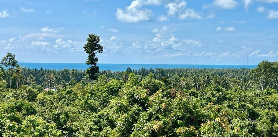 Studio à Ko Samui, Thaïlande № 172456