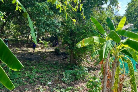 Studio à Ko Samui, Thaïlande № 172456 - photo 6