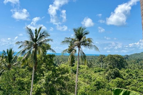 Studio à Ko Samui, Thaïlande № 172456 - photo 3