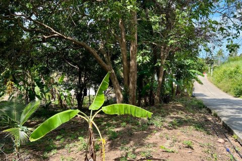 Studio à Ko Samui, Thaïlande № 172456 - photo 2