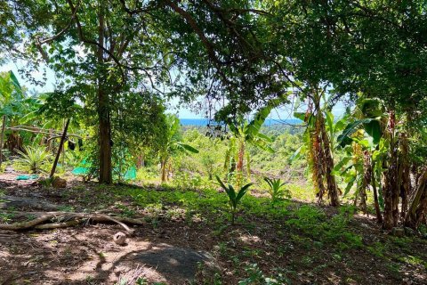 Studio à Ko Samui, Thaïlande № 172456 - photo 4