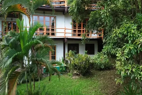 Propriété commerciale à Chiang Mai, Thaïlande № 162800 - photo 3