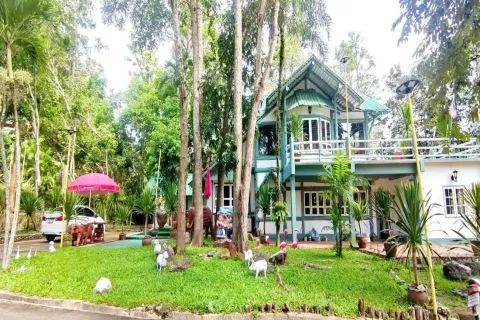 Propriété commerciale à Chiang Mai, Thaïlande № 162800 - photo 4