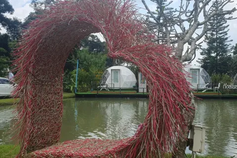 Commercial property in Chiang Mai, Thailand 400 sq.m. № 162801 - photo 10