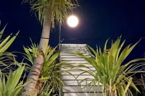 Commercial property in Chiang Mai, Thailand 400 sq.m. № 162801 - photo 20