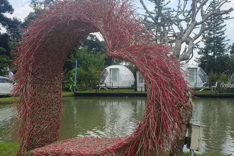 Commercial property in Chiang Mai, Thailand 400 sq.m. № 162801 - photo 10