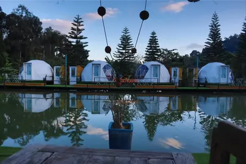 Commercial property in Chiang Mai, Thailand 400 sq.m. № 162801 - photo 20