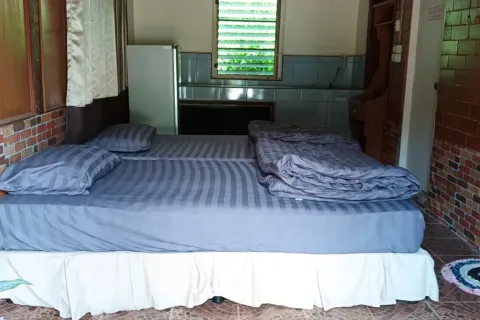 Propriété commerciale à Chiang Mai, Thaïlande 400 m2 № 162801 - photo 8