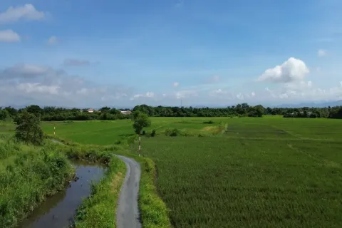 Земельный участок в Чиангмае, Таиланд  № 162802 - фото 3