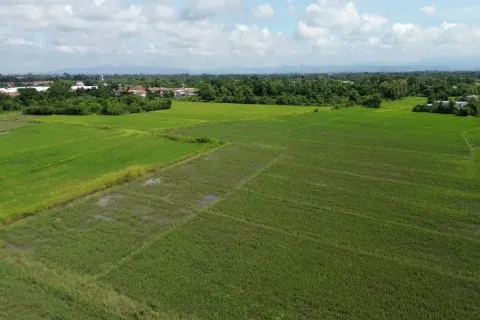 Земельный участок в Чиангмае, Таиланд  № 162802 - фото 7
