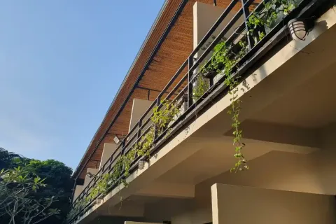 Propriété commerciale à Chiang Mai, Thaïlande № 162798 - photo 22