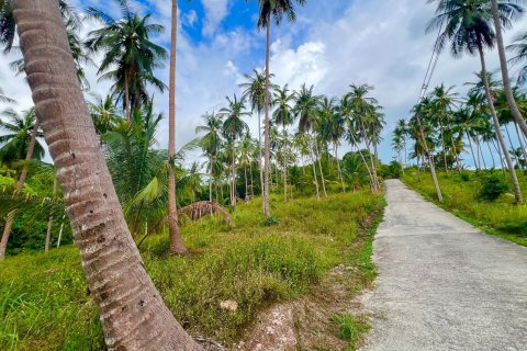 Land in Ko Samui, Thailand 8228 sq.m. № 140749 - photo 7