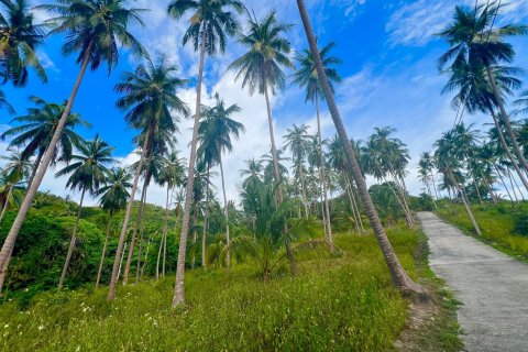 Land in Ko Samui, Thailand 8228 sq.m. № 140749 - photo 4