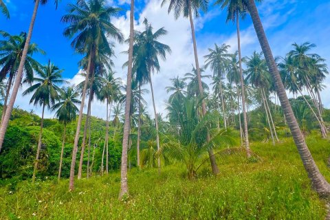 Land in Ko Samui, Thailand 8228 sq.m. № 140749 - photo 6