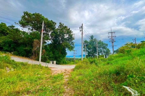 Land in Ko Samui, Thailand 8228 sq.m. № 140749 - photo 12