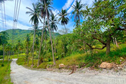 Land in Ko Samui, Thailand 8228 sq.m. № 140749 - photo 15