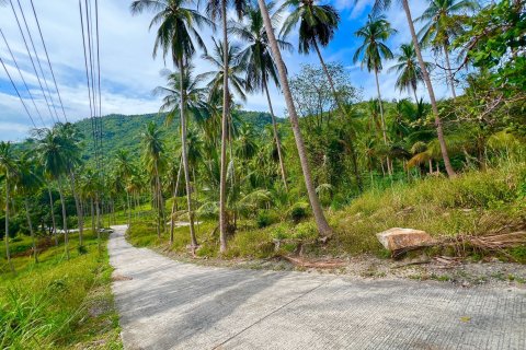 Land in Ko Samui, Thailand 8228 sq.m. № 140749 - photo 16