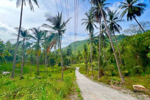 Land in Ko Samui, Thailand 8228 sq.m. № 140749 - photo 14