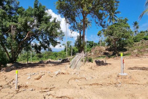 Terrain à Ko Samui, Thaïlande 795 m2 № 158379 - photo 6