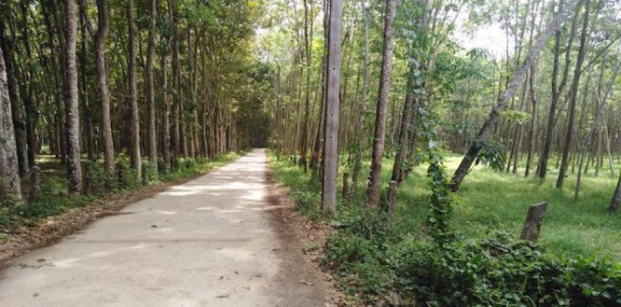 Terrain à Phang Nga, Thaïlande 153600 m2 № 193565