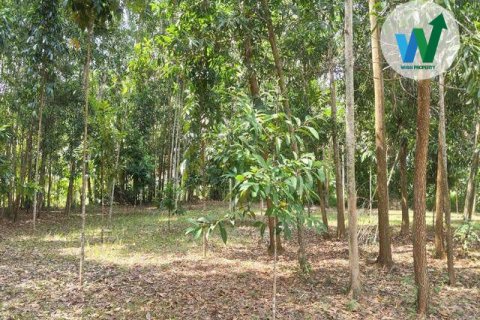 Земельный участок в Пхаттхалунге, Таиланд 400м2  № 163121 - фото 6
