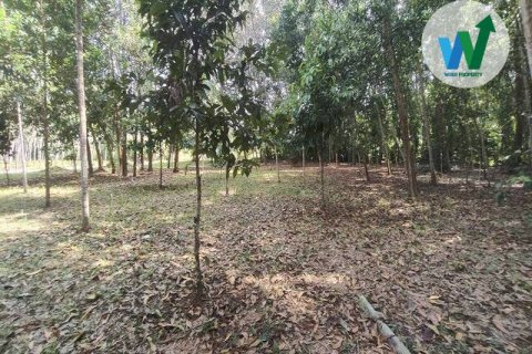 Земельный участок в Пхаттхалунге, Таиланд 400м2  № 163121 - фото 4