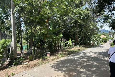 Земельный участок в Самуи, Таиланд 3410м2  № 152797 - фото 8