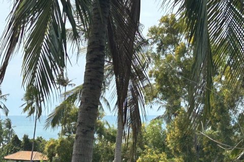 Земельный участок в Самуи, Таиланд 3410м2  № 152797 - фото 4