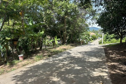 Земельный участок в Самуи, Таиланд 3410м2  № 152797 - фото 7