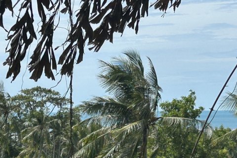 Земельный участок в Самуи, Таиланд 3410м2  № 152797 - фото 3